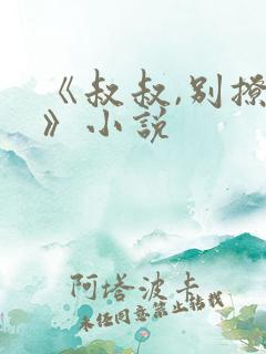 《叔叔,别撩我》小说