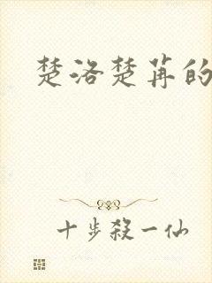 楚洛楚苒的小说