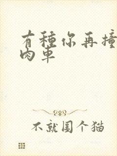 有种你再撞一下肉车