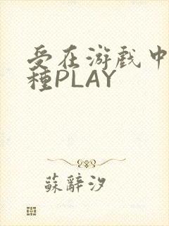 受在游戏中被各种PLAY