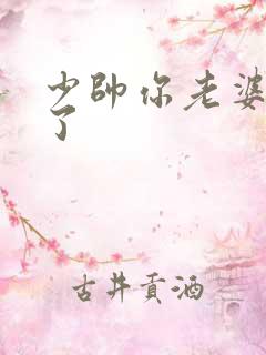 少帅你老婆又跑了