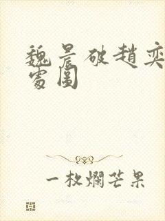 魏晨破赵奕欢的处图