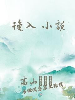 后入 小说