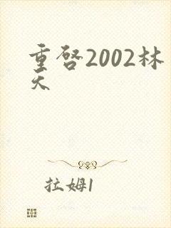 重启2002林天