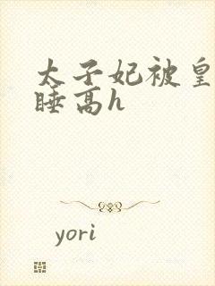 太子妃被皇上强睡高h