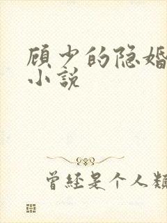 顾少的隐婚罪妻小说
