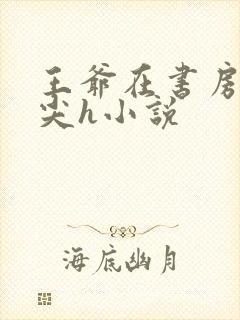 王爷在书房含乳尖h小说