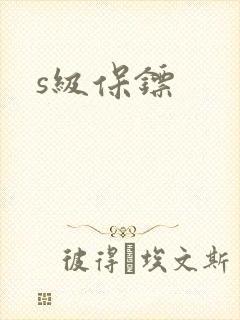 s级保镖