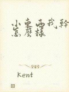 小东西我干的你怎么样