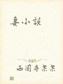 妻小说