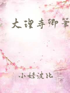 大理寺卿笔趣阁