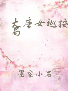 大唐女巡按大结局