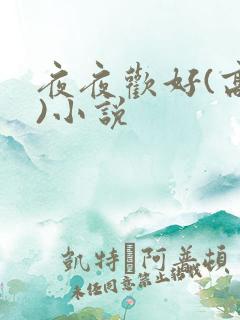夜夜欢好(高h)小说