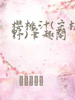 樱桃汁(宋枝江野)笔趣阁