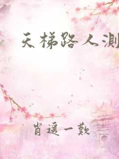 天梯路人测试器