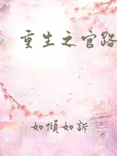 重生之官路情长