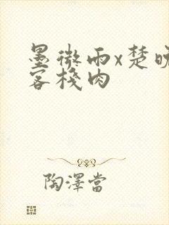 墨微雨x楚晚宁客栈肉