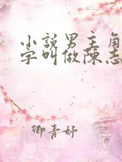 小说男主角的名字叫做陈志远