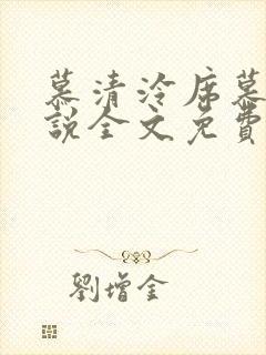 慕清泠席慕深小说全文免费阅读