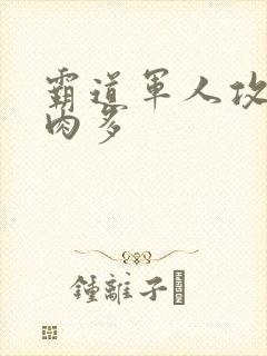 霸道军人攻现代肉多