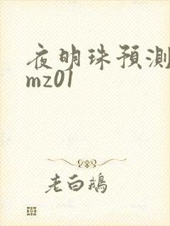 夜明珠预测 ymz01