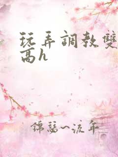 玩弄调教双胞胎高h