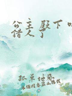 公主 殿下 吻错人了