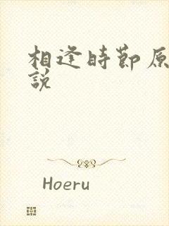 相逢时节原著小说