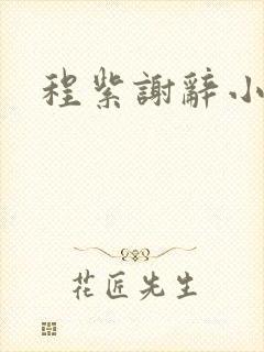 程紫谢辞小说