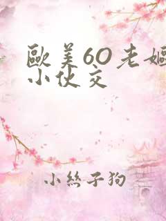 欧美6O老妪与小伙交