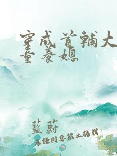 穿成首辅大人的童养媳