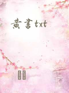 黄书txt