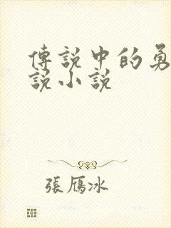 传说中的勇者传说小说