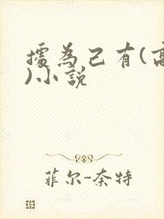 据为己有(高干)小说