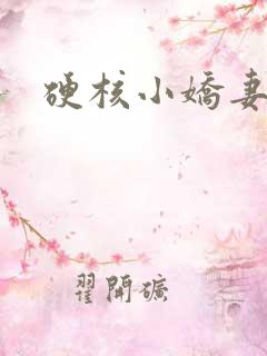 硬核小娇妻