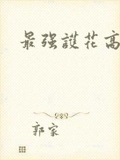 最强护花高手
