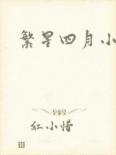繁星四月小说