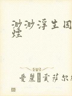 渺渺浮生因你成烟