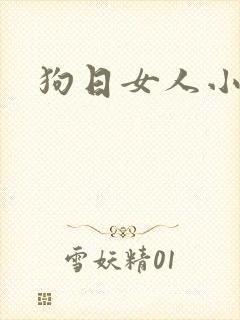 狗日女人小说