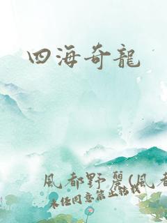 四海奇龙