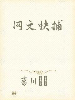 网文快捕