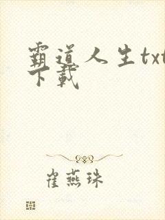 霸道人生txt下载
