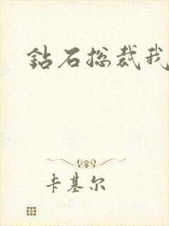 钻石总裁我已婚