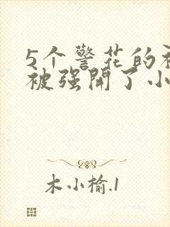 5个警花的初苞被强开了小说