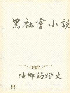 黑社会小说下载