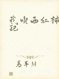 我吃西红柿九鼎记