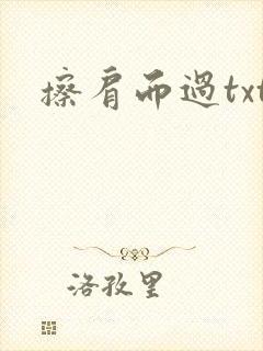 擦肩而过txt