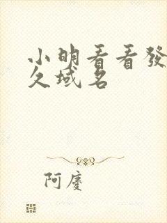 小明看看发布永久域名