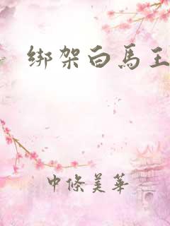 绑架白马王子