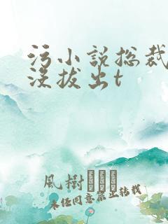 污小说总裁整夜没拔出t